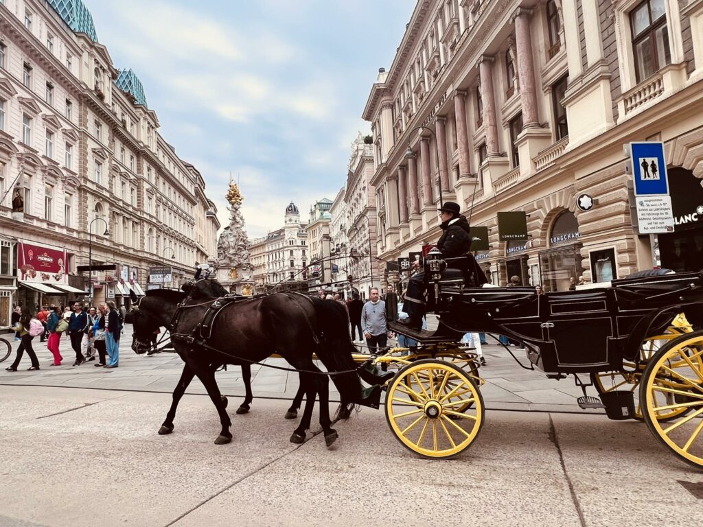 fiaker vienna city center