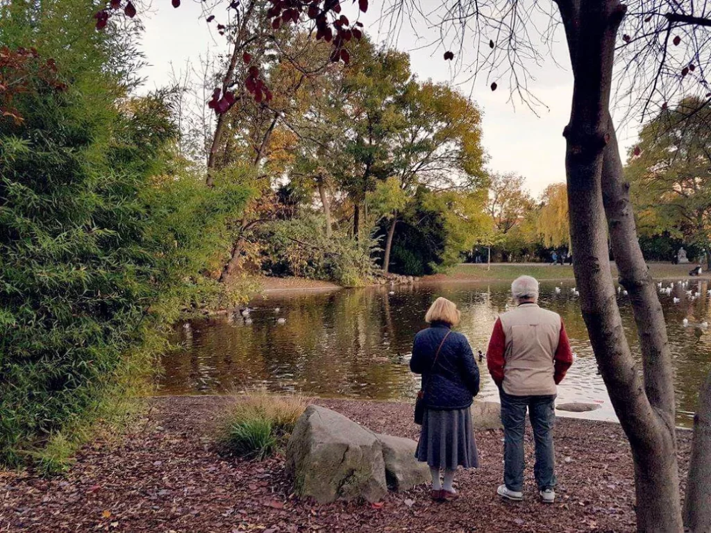 Twenty Years of Beautiful Octobers and Autumns, Statdpark in Autum with old couple