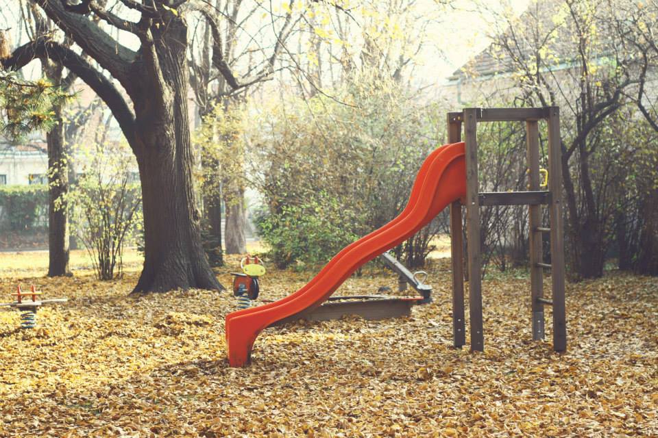 Twenty Years of Beautiful Octobers and Autumns, slide dried leaves vienna autumn