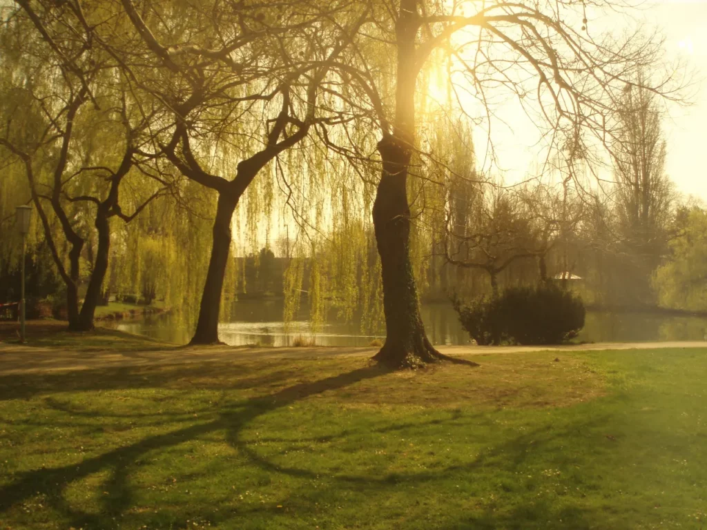 Wasserpark Floridsdorf