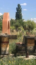 Bees by the Mexican garden entrance Bees by the Mexican garden entrance