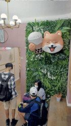 Bubble tea Bubble tea