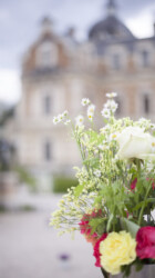 Garden Wedding (in front of the castle) Garden Wedding (in front of the castle)