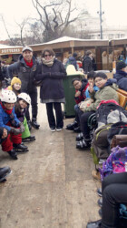 Ready to Skate Ready to Skate