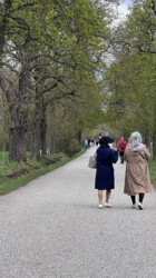 Walking path Lainzer zoo walking path lainzer zoo