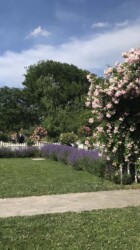 Entrance to the wedding garden Entrance to the wedding garden