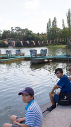 Idling by the lake Idling by the lake