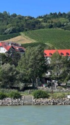 Vineyards riverbank Danube